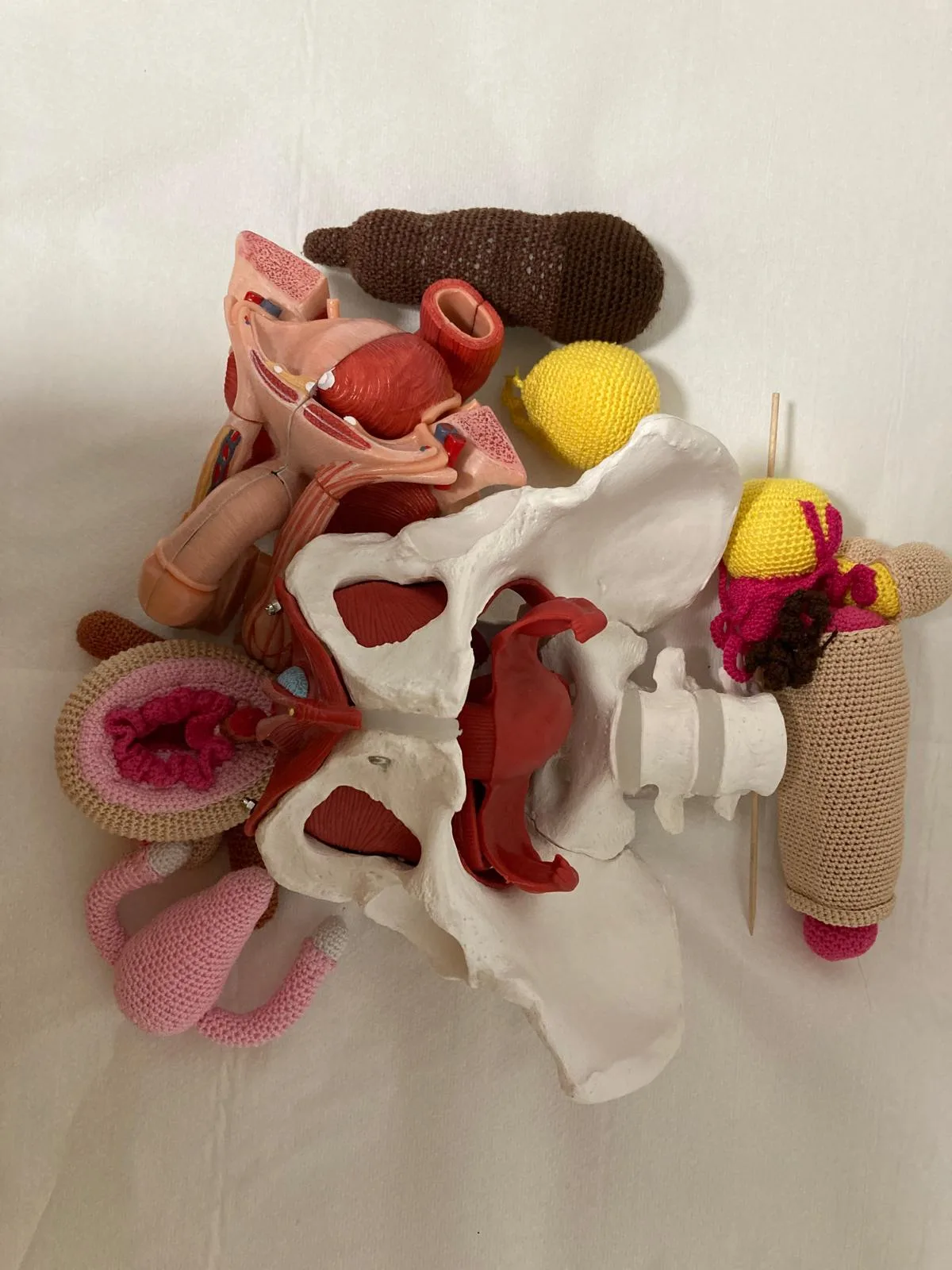 Fisioterapia del suelo pelvico en almería